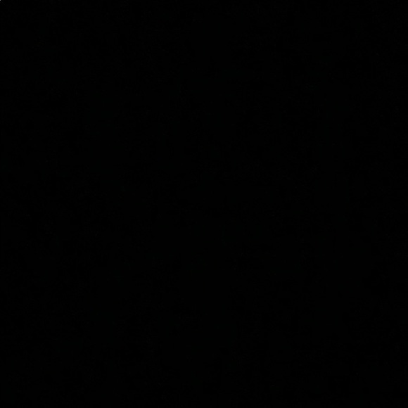 Meet your Posher, Layla - Picture 1 of 1